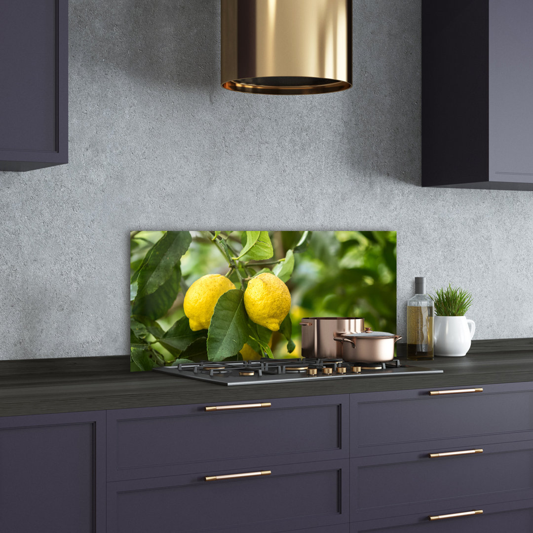 50cm x 100cm Glass Panel