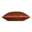 Velvet Pillow Cover & Insert-488241158-488241161