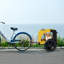 Chariot pour chien