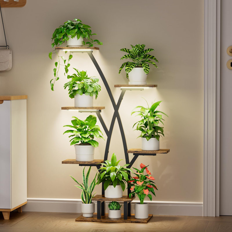 Plant Stand - Set of 8