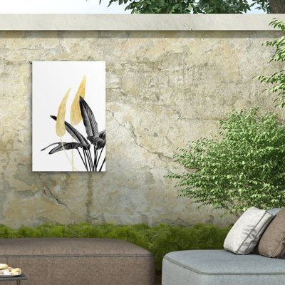 Amini54 Bird Of Paradise Plant Black Outdoor  Canvas