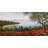 Poppies on the Lake by Tebo Marzari - Wrapped Canvas Painting Print-1567835851