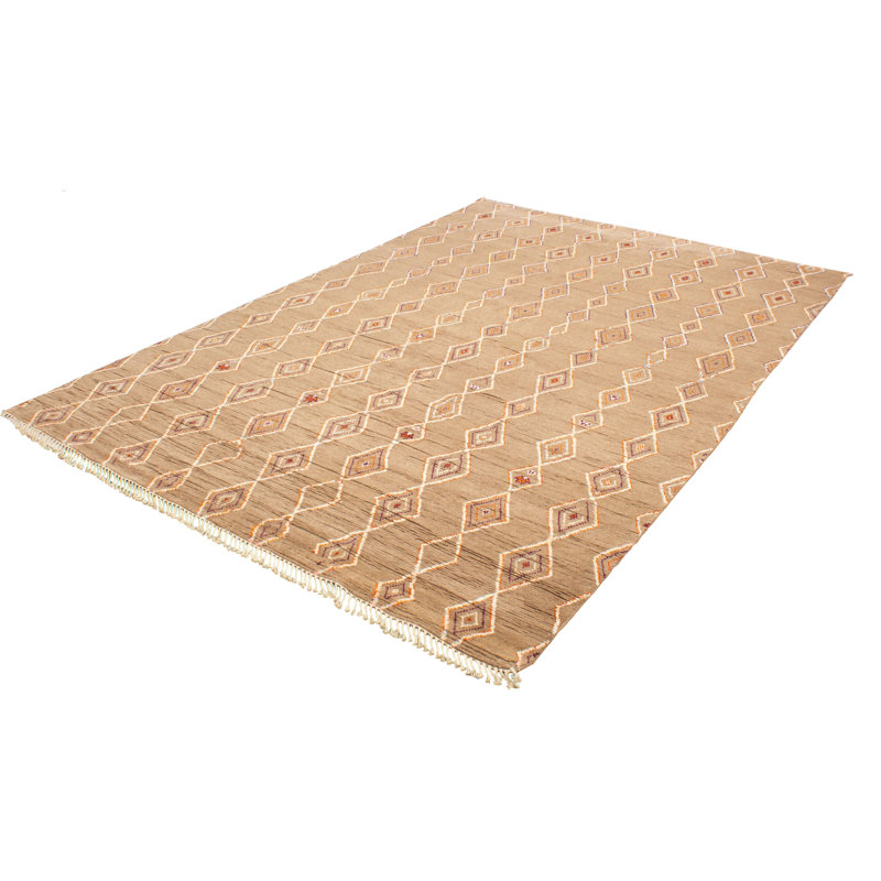 Tapis décoratif en laine brun clair noué à la main New Age 9 pi 10 po x 14 pi 5 po one-of-a-kind Deshazlor