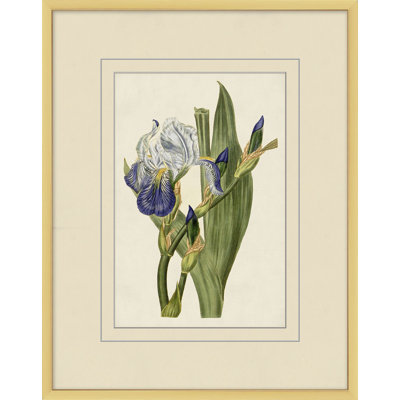Fresh Flowers 1 Print