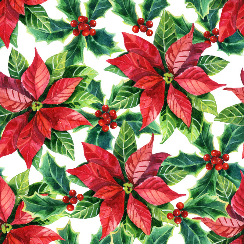 Christmas Poinsettia, Watercolor Flower by Tanya Syrytsyna - Wrapped Canvas Print, 76cm H x 76cm W