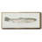 Fresh Catch III- Framed Canvas