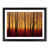 Black Framed selected
