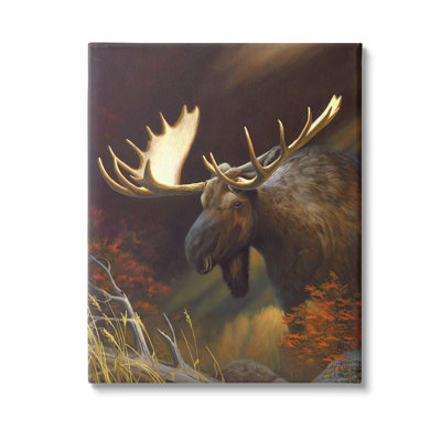 «Woodland Moose Portrait» par Leo Stans sur