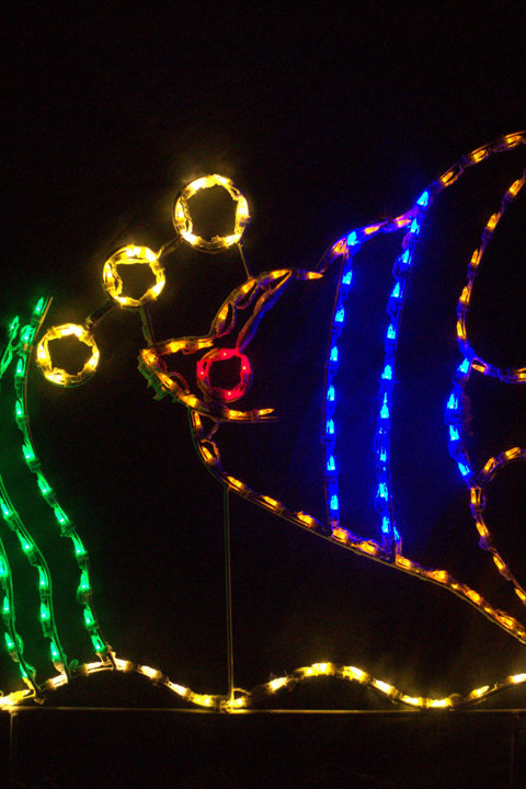 A neon wire sculpture of a fish blowing bubbles, illuminated in blue, green, yellow, and red against a black background.