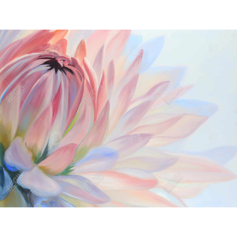 Lotus fleur pastel - Toile botanique exotique pour la décoration intérieure