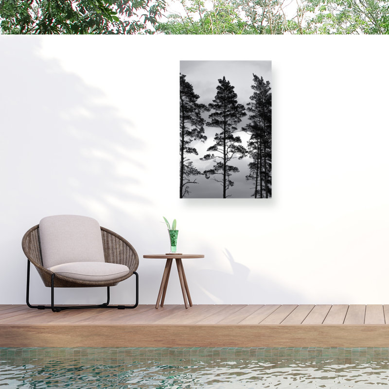 Mareike Bohmer  Swedish Trees Outdoor  Canvas, H 12 po x l 19 po