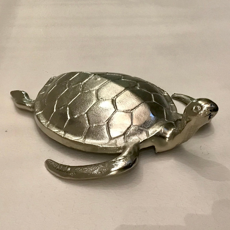 Curious Sea Turtle - Aluminum