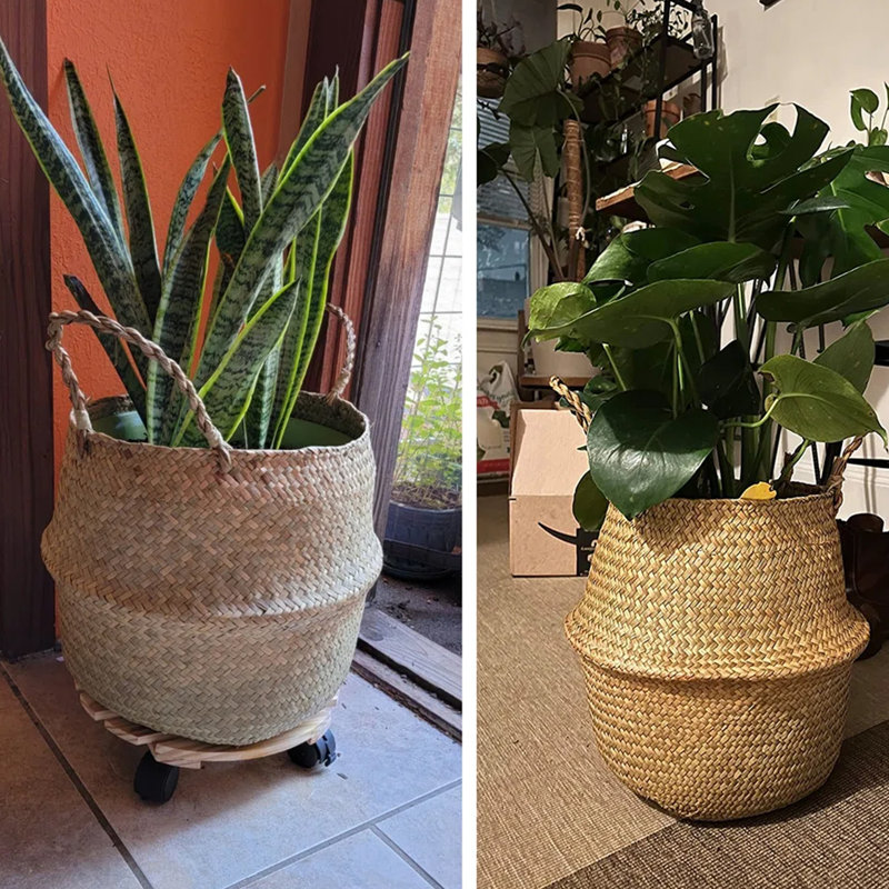 Panier général August Grove® Tynisha Seagrass - ensemble de 3