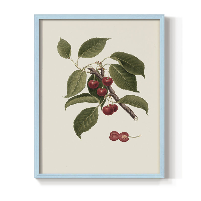 Impression florale vintage encadrée XL III - bois massif, H 15 po x l 12 po, Bleu