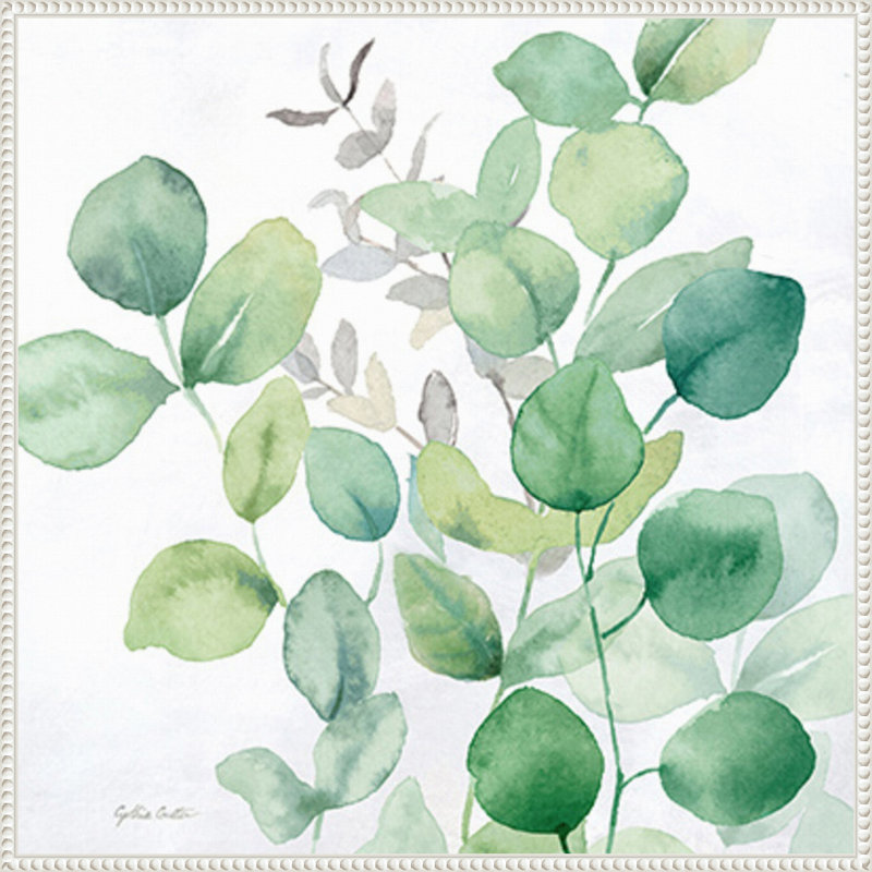 «Eucalyptus Leaves I» par Cynthia Coulter, reproduction d'art sur toile encadrée, H 30 po x l 30 po