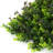 Purple Green Foliage UV-protected for Outdoor Decor. 20"x20" panels (Set of 2)