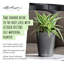 Mini pot à fleurs carré en plastique avec indicateur de niveau d'eau pour l'intérieur Mini-Deltini, gris anthracite métallique-130984117