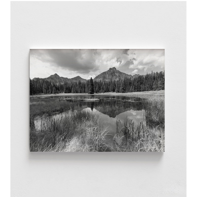 «Custer-Gallatin National Forest» par la collection Yellowstone, reproduction en noir et blanc du parc national de Yellowstone, photographie de la nature