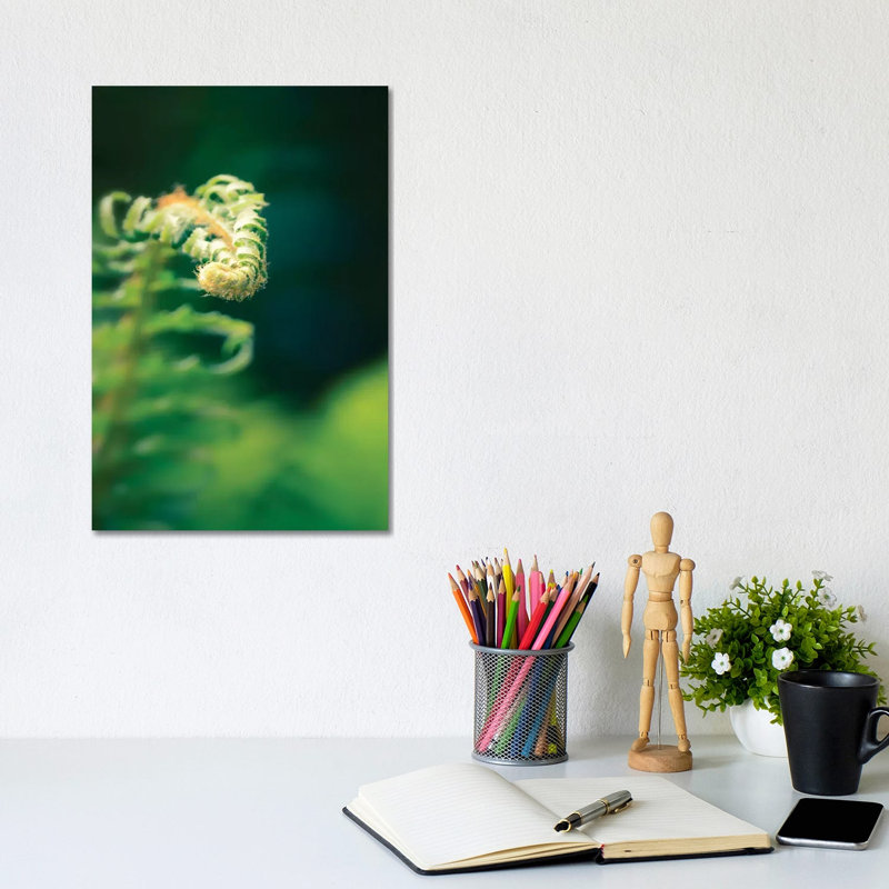 Garden Fern by Savanah Plank - Wrapped Canvas Print, 20.32 cm H x 30.48 cm W