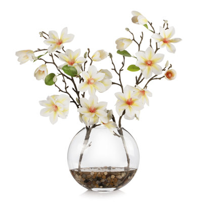 Arrangement de fleurs de magnolia dans un vase en verre avec de l'eau artificielle (pêche crème)
