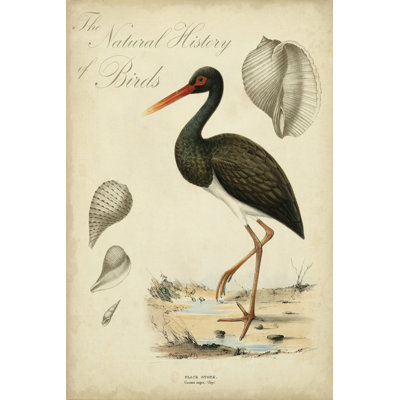 Heron Anthology I 1 Piece Wrapped Canvas Wall Art