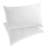 Martex Clean Essentials Pillow and Pillow Protector Set With Silverbac Antimicrobial Technology-58650583