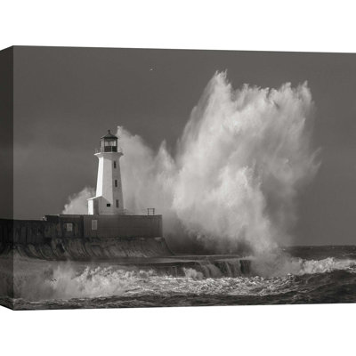 Pangea Images - Wrapped Canvas Print
