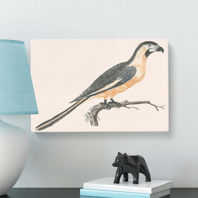 Parrot by Johan Teyler - Wrapped Canvas, 40cm H x 60cm W x 3cm D
