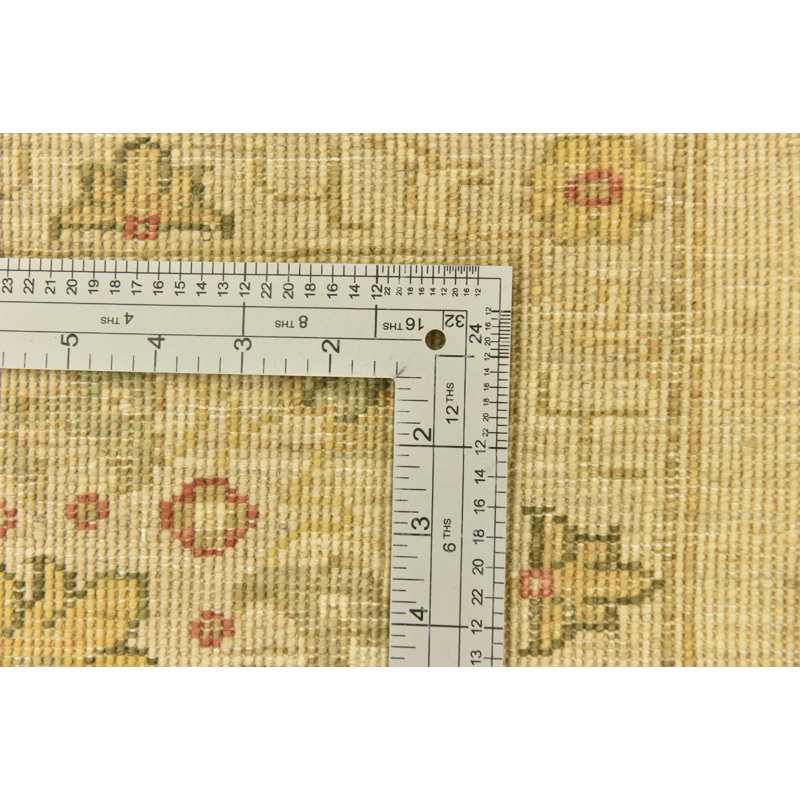 Olson Ivory Rug