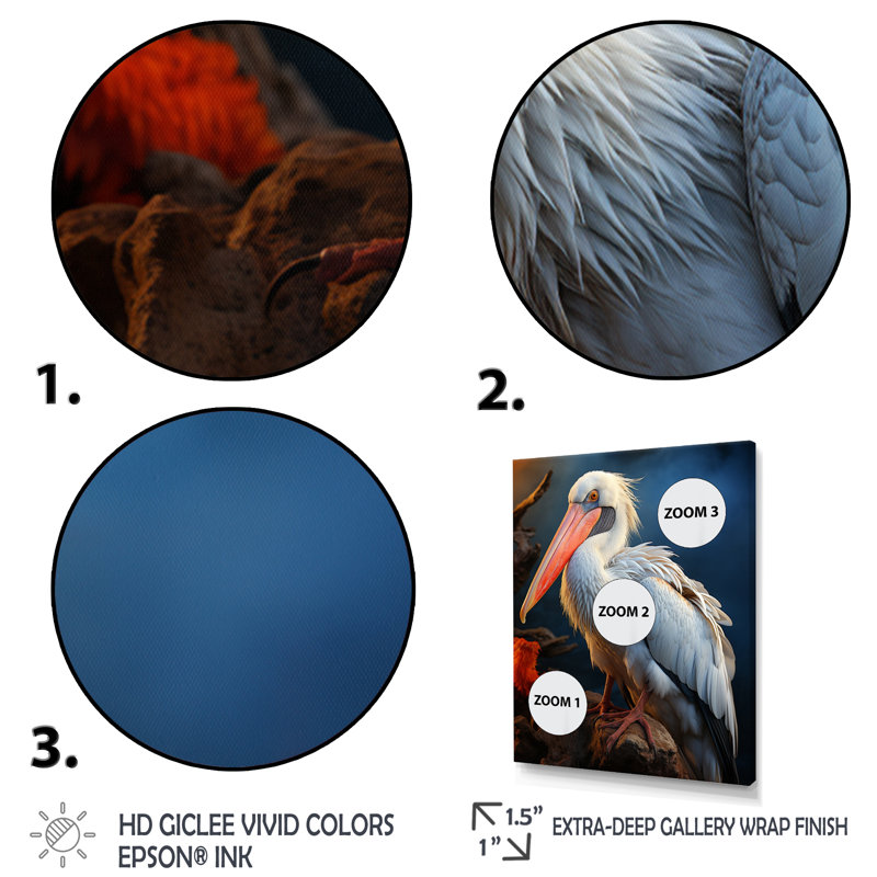 Corail blanc, animal, pélican - Reproduction d'art mural animaux, H 20 po x l 12 po x P 1 po, Cadre d'angle fermé noir