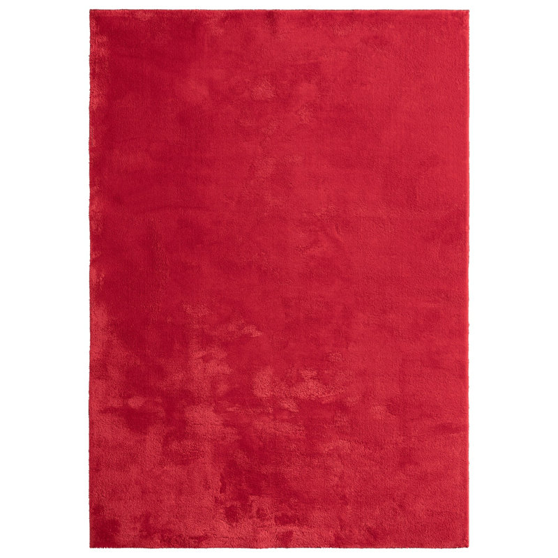 Taurasi 140cm X 200cm Area Rug
