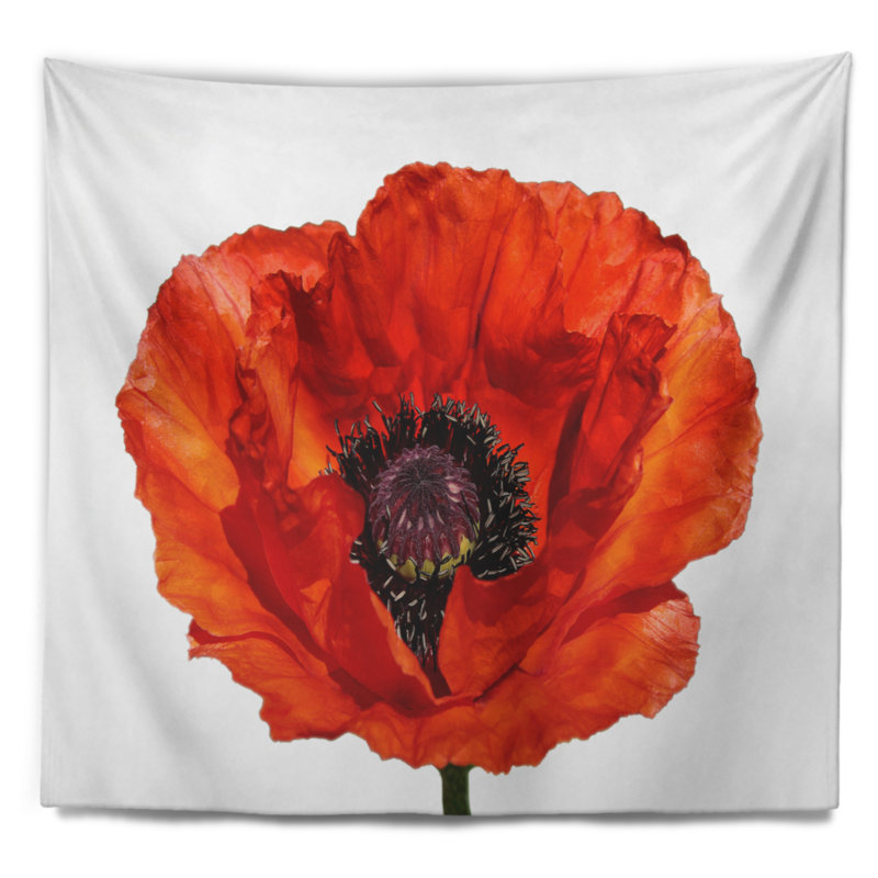 Tapisserie rouge «Poppy Blossom», H 50 po x l 60 po