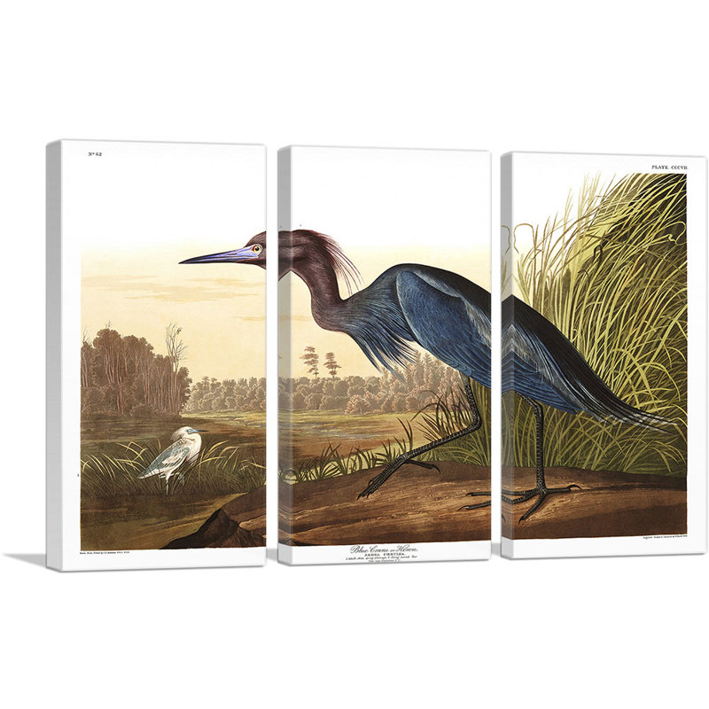 «Little Blue Heron» par James Audubon, ensemble de 3 reproductions d'art sur toile tendue, H 40 po x l 60 po x P 0,75 po