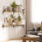 Paulownia Floating Shelf-1797573212