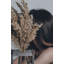 Plante grimpante 17 po Atalaya-1329839818-1329839817