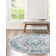 Olufisayo Oriental Indoor Rug