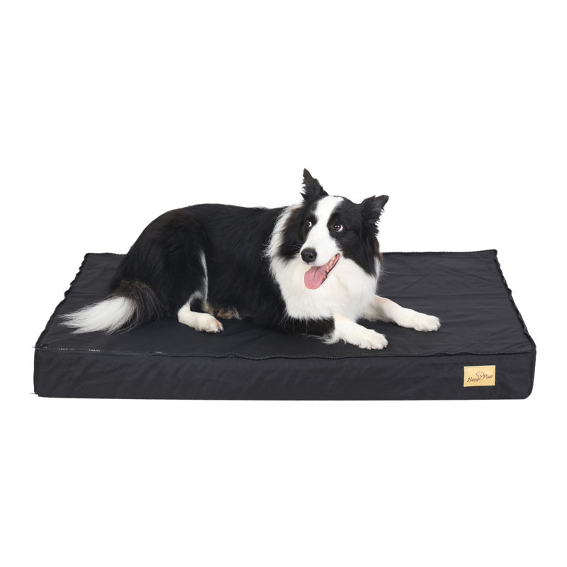 Deanesha Orthopedic Pet Bed, 36.20" W x 22" D x 3.10" H