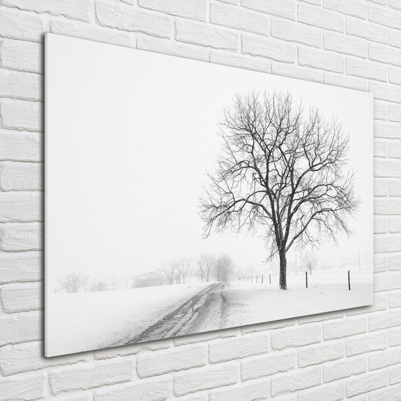 Snow Path Landscape - Wrapped Canvas Print, 70 cm H x 100 cm W