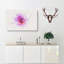 Water Lily - Wrapped Canvas-56667905