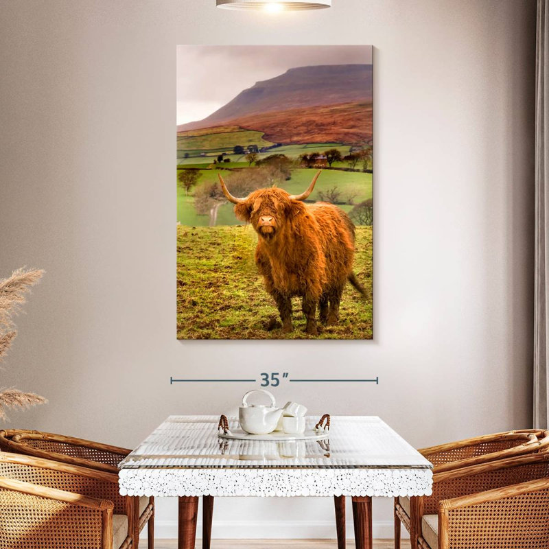 Brampt Bowland Highland Cow, 51" H x 34" W