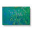 Irises by Claude Monet - Wrapped Canvas-61854196