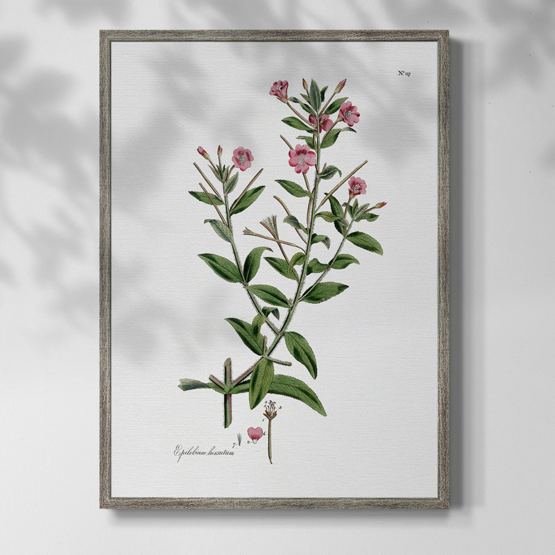 Rose Botanical III, reproduction encadrée - bois massif 47459, H 11 po x l 9 po