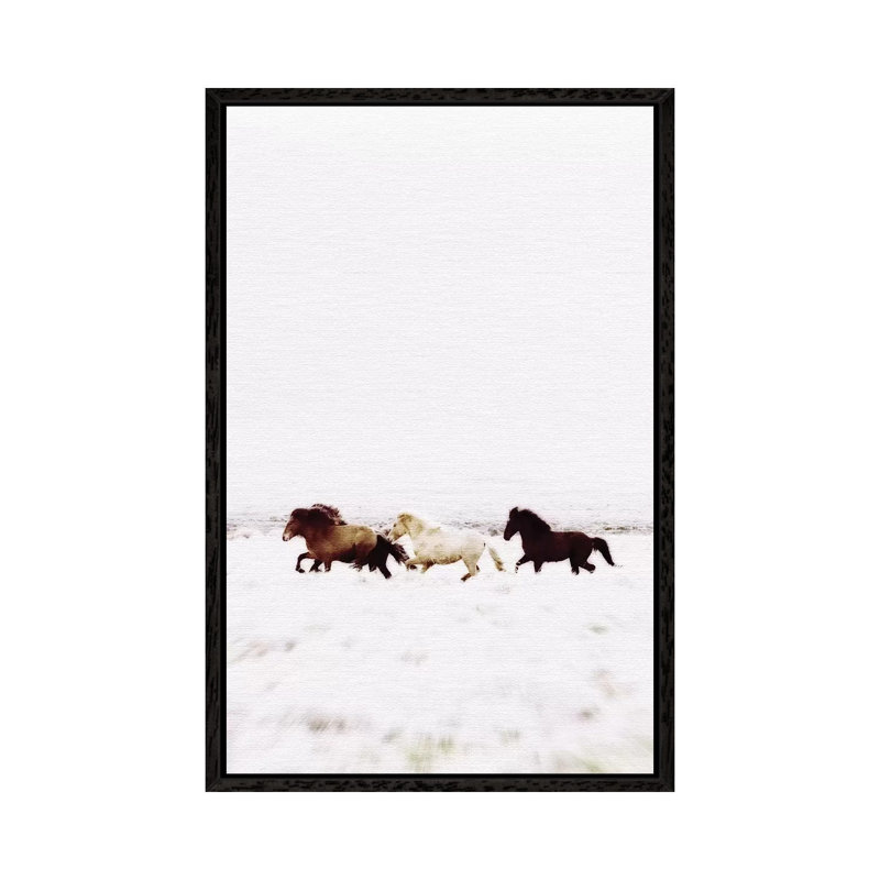 Wild Horses Iceland VIII by Monika Strigel - Print on Canvas, 66.04cm H x 45.72cm W x 3.81cm D, Black Framed