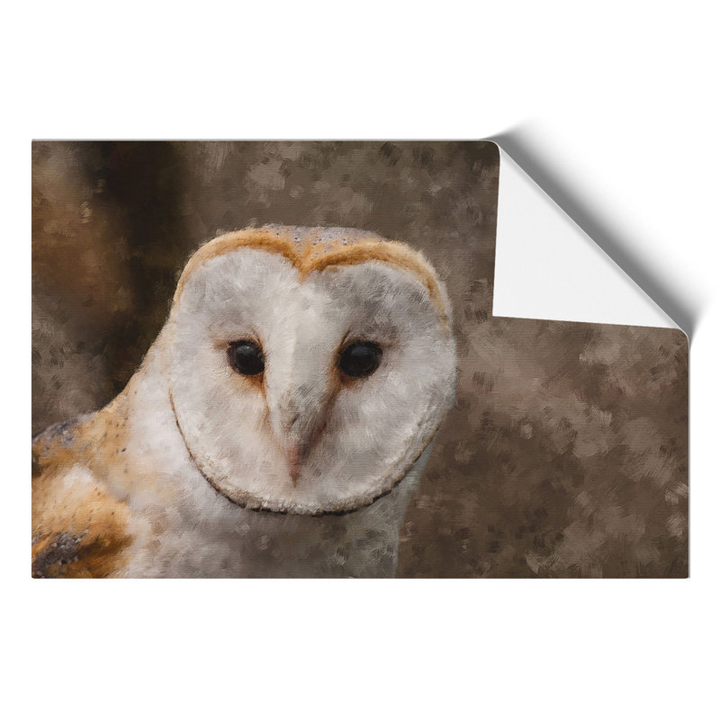 Barn Owl Painting - Frameless Print, 21cm H x 30cm W x 0.1cm D