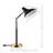 Motilal Metal USB Desk Lamp