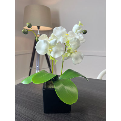 Artificial Orchid Plant in Pot