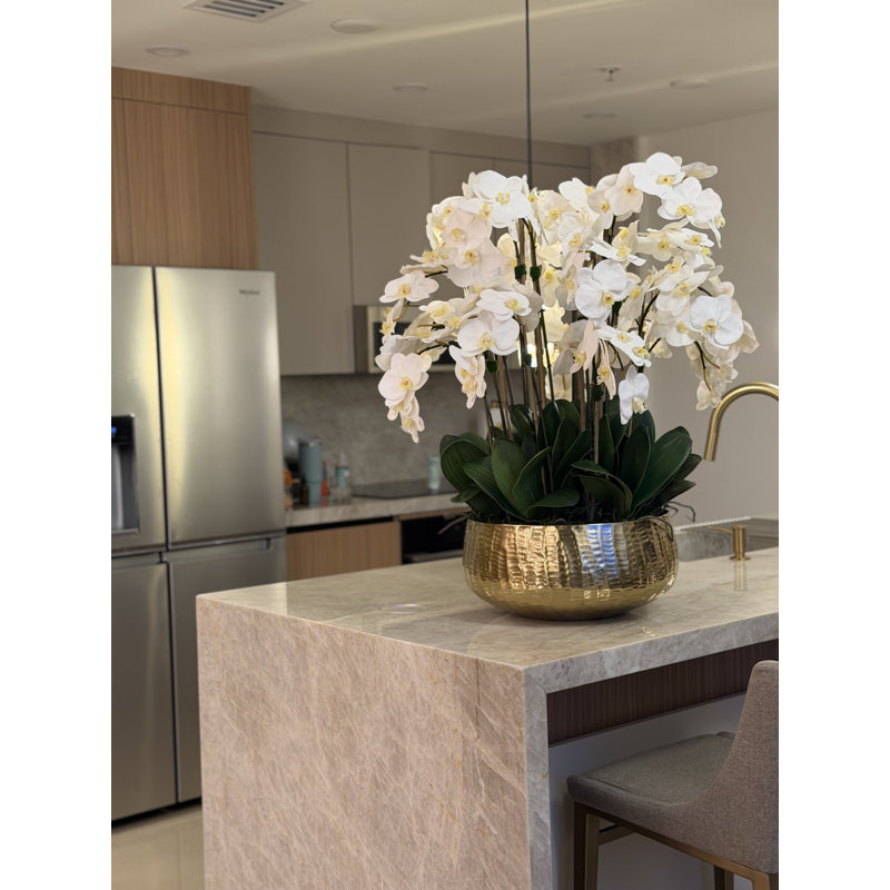 Roberi bowl with multiple stems of white Phalaenopsis orchids, Pink, 38" H x 22" W x 22" D