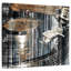 Abarca Disques sur disques-109229462