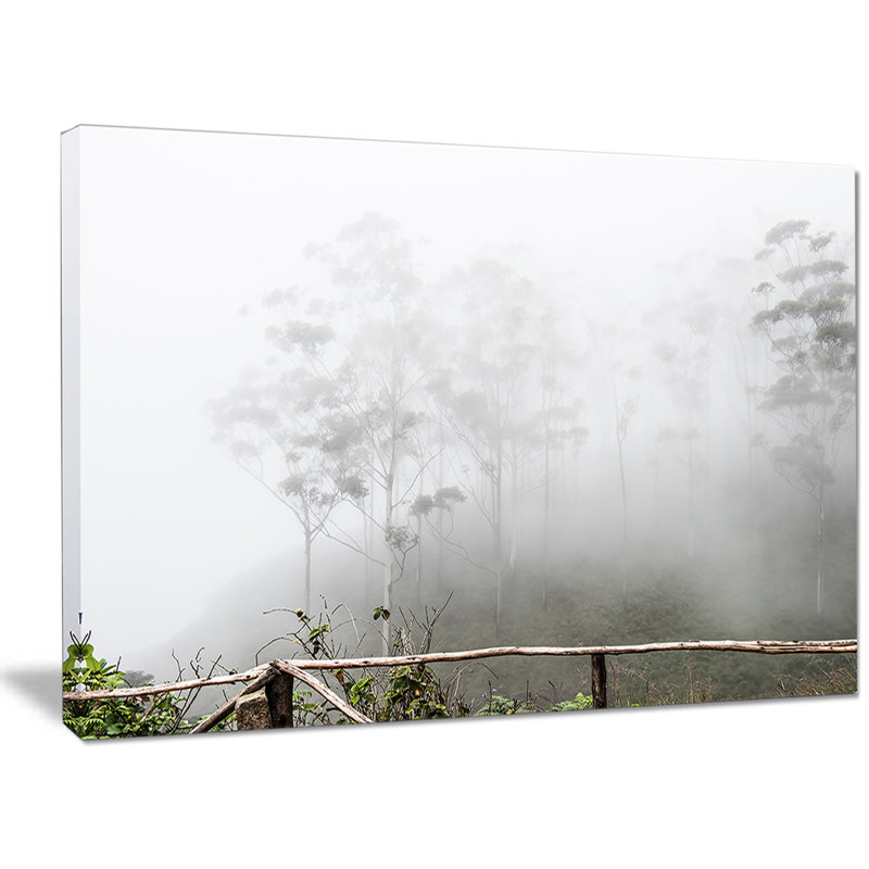«Fogs on Western Ghats Hills», reproduction de photo sur toile tendue, H 40 po x l 60 po x P 1,5 po, Toile tendue