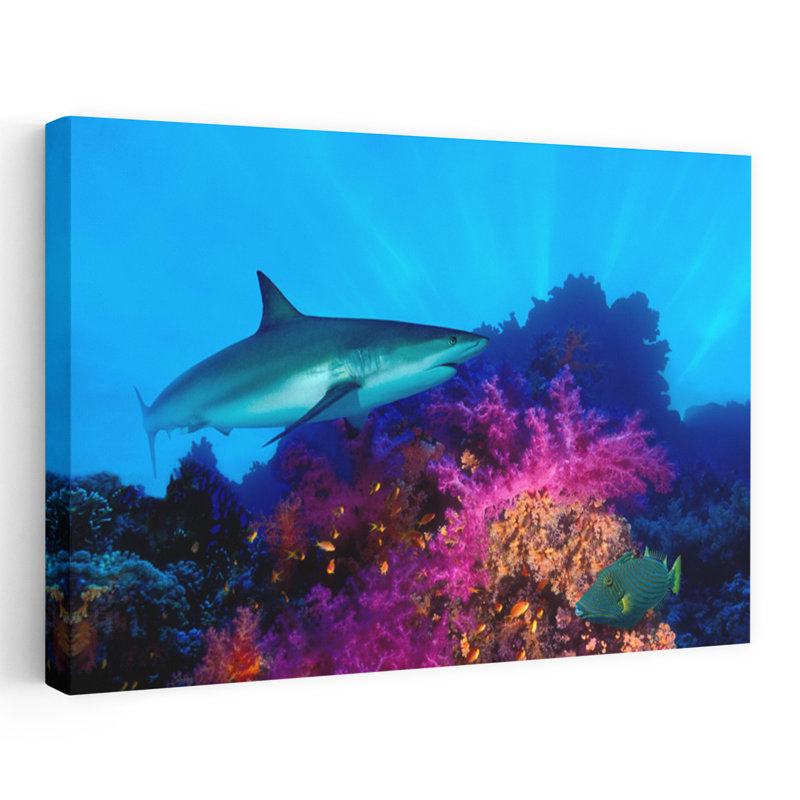 Caribbean Reef Shark Carcharhinus Perezi And Soft Corals In The Ocean Abstract Contemporary Art, 16" H x 24" W